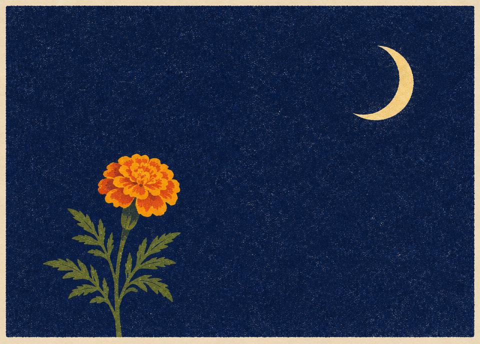Midnight Bloom — Postcard